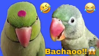 Mummy ka Gussa 😡😂 ~ Part 2