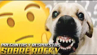 PREGUNTAS & RESPUESTAS DE SEGUIDORES DE INSTAGRAM PAL ROCKY 👹🐶🧡 EAAAAAAA