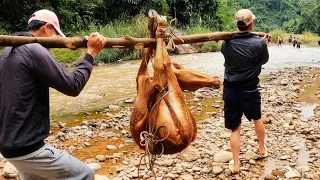 ĂN TẾT TRONG RỪNG • Tập 1
