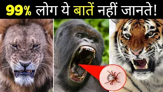 जानवरों से जुड़े 10 गजब के तथ्य | 10 Most Amazing Facts About Animals | Unknown Facts About Animals