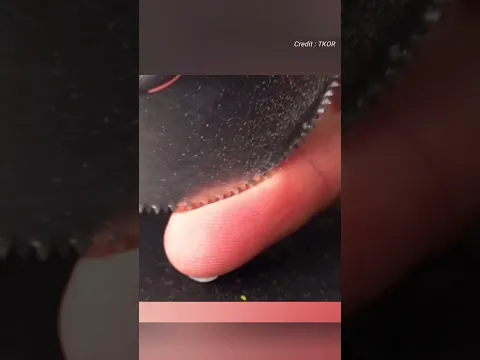 This is a tooth grinding blade😱 #shorts