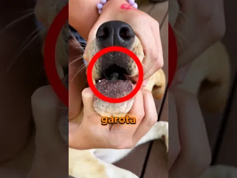 Quando ela viu o que tinha dentro… ficou em choque 😲😱