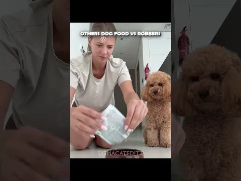 Others dog food vs robbers☠️ #edit #troll #trollface #usa #dogshorts