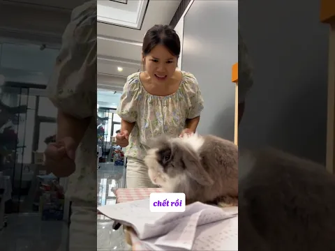 Tiểu bối đã làm hư vở của cậu chủ có đúng không.#shorts