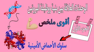 💯 وحدة العلاقة بين بنية ووظيفة البروتين|سلوك الاحماض الامينية 💪رايح تفهم بسيف عليك [بكالوريا]