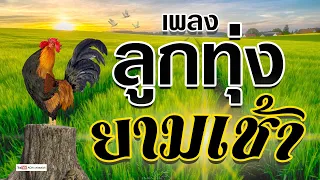 ลูกทุ่ง ฟังสบาย ยามเช้า - คุณภาพเสียงเยี่ยม #มาแรง