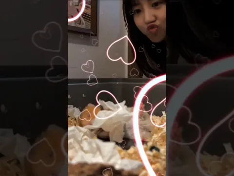 Cewek ini punya peliharaan hamster imut dan kocak 😅🥰 #shortsviral