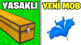 Minecraft'ta Varlığını Bilmediğiniz 42 Şey!