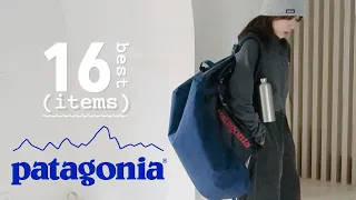 ⛰ 【Pata101】十年用戶Patagonia明星產品大盤點 | 免費維修政策 | 第一件Pata抓絨買什麼 | 16件【非網紅】經典款推薦 | 既要專業又要趣味