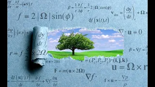 Does Math Reveal Reality? | World Science Festival