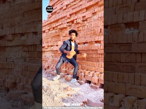 He Built A House Secretly 😳🏠| #factsintamil #factsulagam #short