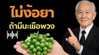 6 ข้อดี พืชผลไม้เล็กๆ ไม่ต้องพึ่งยา แค่นี้มะเขือพวงติดไว้ในสวน 