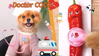 Coco’s wonderful moments, which one do you like the most ?