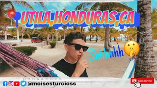 CARACOLES: ¡EN EL MEJOR LUGAR DE HONDURAS! UTILA