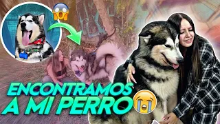 EL SECUESTRADOR ENTREGA MI PERRO 😭 Así sucedio todo 😱❤️‍🩹