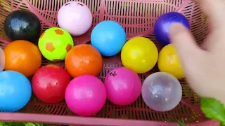 Mencari Bola Kecil Warna-Warni yang Cantik
