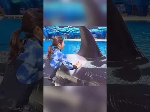 When the Orca Lost Control