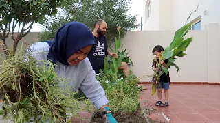 Berkebun di Halaman Belakang Rumah