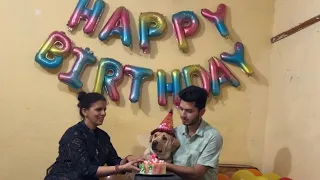 Rubi’s birthday celebration 🎉 || labra rubi || #labrador #dog #birthday #viralvideo