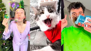 TikTok CosefNastya Cat Videos 😢