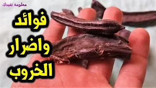 ماهى اضرار الخروب واهم 10 فوائد للخروب لا تعد ولا تحصى  ؟؟
