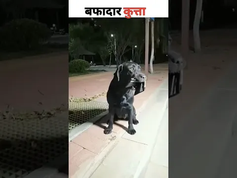 कर भला तो हो भला Part - 9 😐 Moral story hindi | Short Motivational Stories | Hindi Kahaniya #shorts