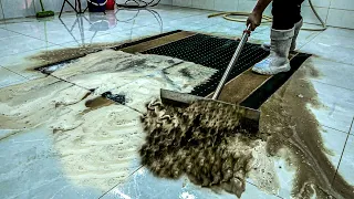 Make your carpet look new again!