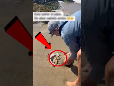 Este papá les mostro a sus hijos que la playa no siempre es divertida.. ve el final