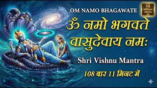 Shri Vishnu Mahamantra Fast : Om Namo Bhagwate Vasudevay Namah