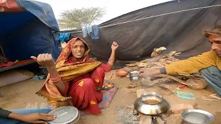 ऊंट पालन महिला जीवन  🤫 | Nagaur pashu mela 2023 | desert women Hard work