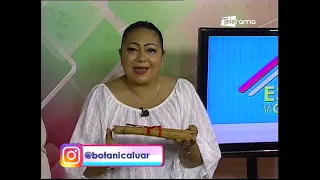 Tips para mejorar las ventas en su negocio