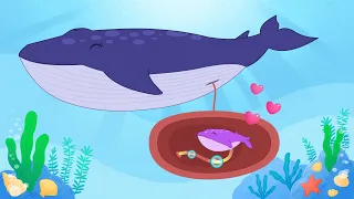 고래 왕 배꼽 1~2편 연속보기🐳 | 배꼽 싫어! 내 배꼽 없애줘요! | 고래 왕 배꼽 퀴즈 | 인기 과학동화★지니키즈