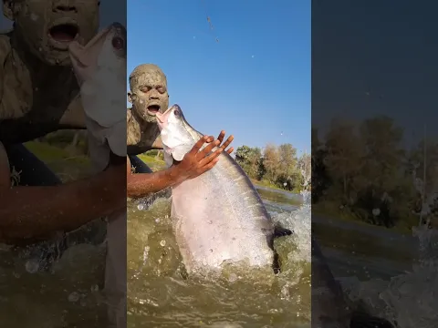 Unbelievable fishing video. Big chital fish catching.#fishing ##fish #shorts