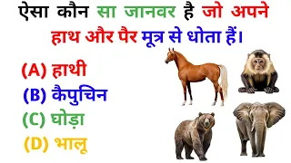 GK Questions || GK In Hindi ||GK Questions and Answer || GK Quiz ||RAHUL GK SHORT ||#world#gkinhindi