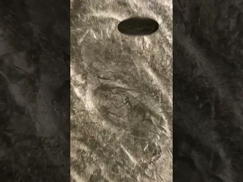 Coin infinite Loop - #coin #money #loop #infinite #transition #relax #satisfying #discover #macro