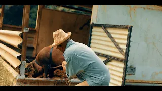 Patrick (Hubert) Bornil - Kochon ka konté - La Trilogie de Noël (Clip Officiel)