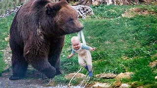 Rizikujući svoj život, medvjed je donio bebu ljudima. Razlog za to je NEVJEROVATAN !