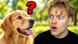 What do Animals Think About Us...