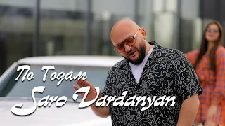 Saro Vardanyan - По годам