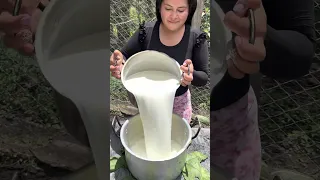 Familia campesina nos enseñan hacer yogurt casero 🤤😱 ​⁠​⁠