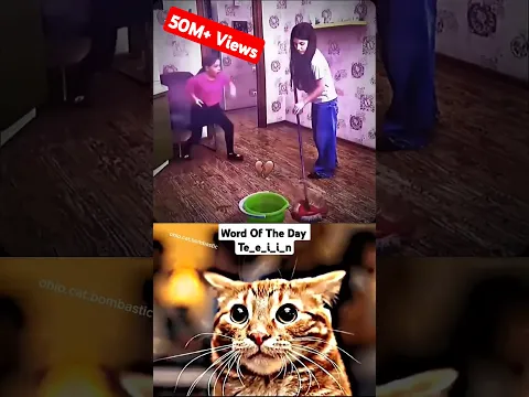 CHAD COT...💀 #trending #memes |4K SHORTS | OHIO CAT BOMBASTIC