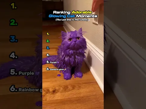 Ranking Adorable Glowing Cat Moments