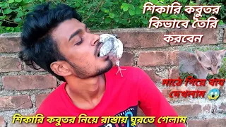 শিকারি কবুতর কিভাবে তৈরি করবেন | How To Tame A Pigeon | Kobutor Posh Mananor Upay