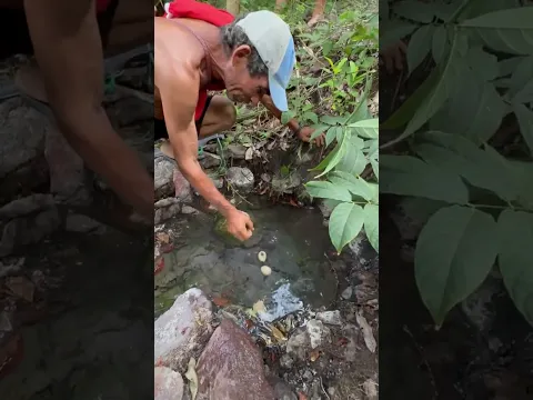 Podrá Sacar El Huevo Del Agua Caliente Sabes Como Se Le Dice A Esa Naciente De Agua Caliente #live
