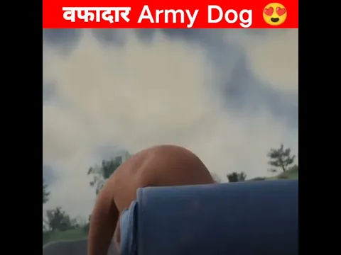 वफादार Army Dog 😍 #shorts #factsxpose