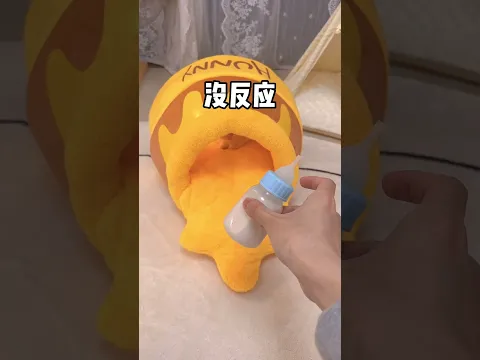 【小奶貓成長記】如何捕捉一隻貪吃的「小蜜蜂喵」