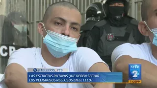 Tercera entrega CECOT