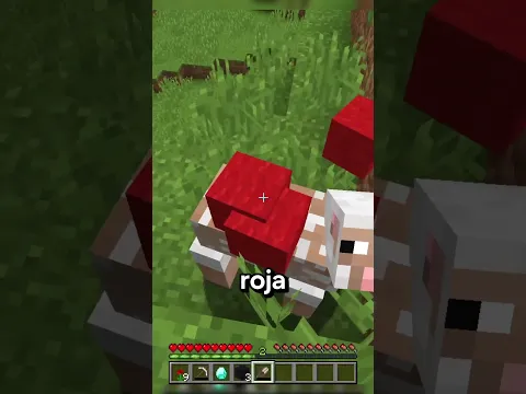 Cómo Tener Novia En Minecraft