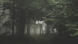 putting a spin on iris - egg