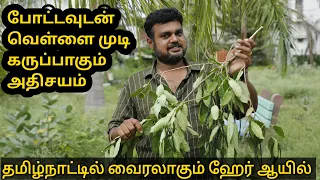 சட்டென வெள்ளை முடி கருப்பாக மாறும் | இயற்கை ஹேர் ஆயில் | yummy vlogs